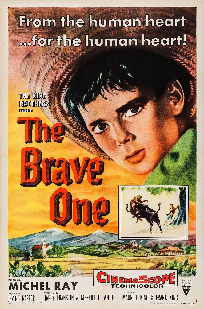 The Brave One - Posters