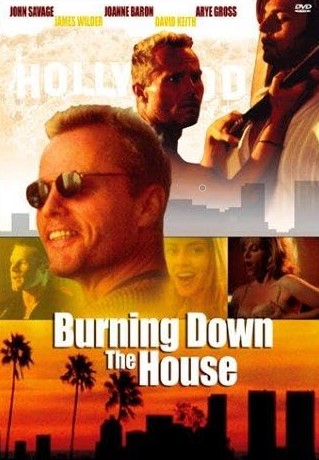 Burning Down the House - Affiches