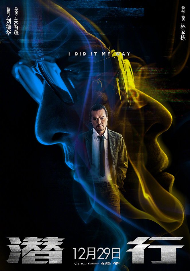 I Did It My Way - Posters