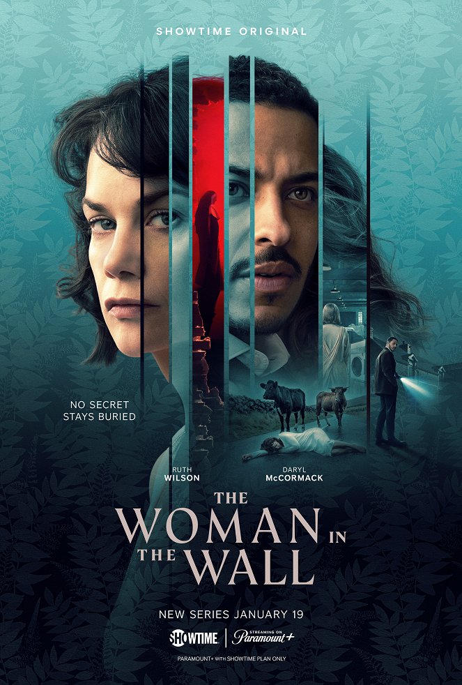 The Woman in the Wall - Posters