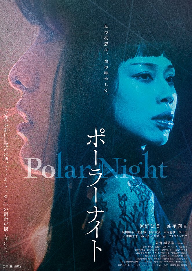 Polar Night - Plakate