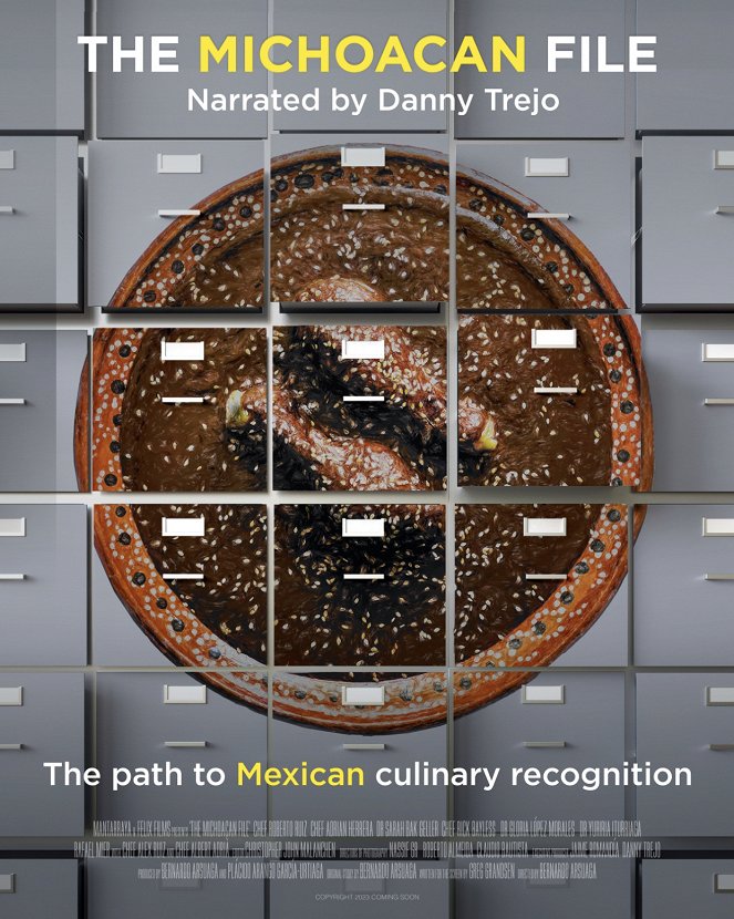 The Michoacan File - Plakáty