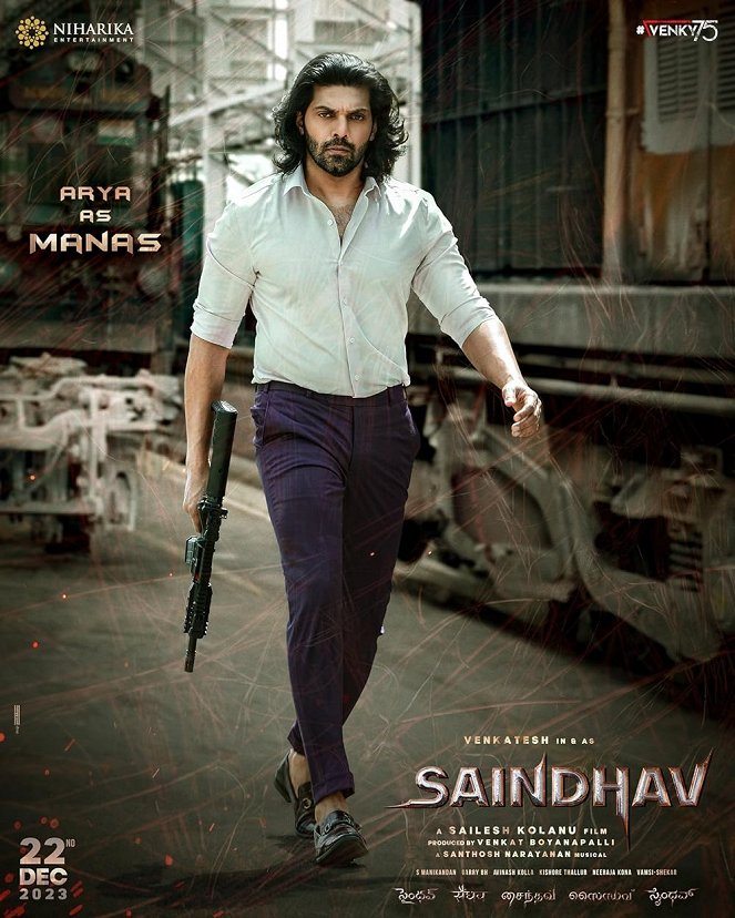 Saindhav - Posters