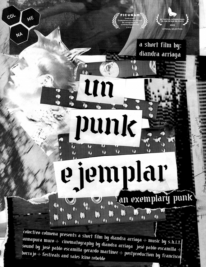 An Exemplary Punk - Posters