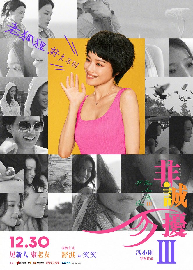 Fei cheng wu rao 3 - Plakaty