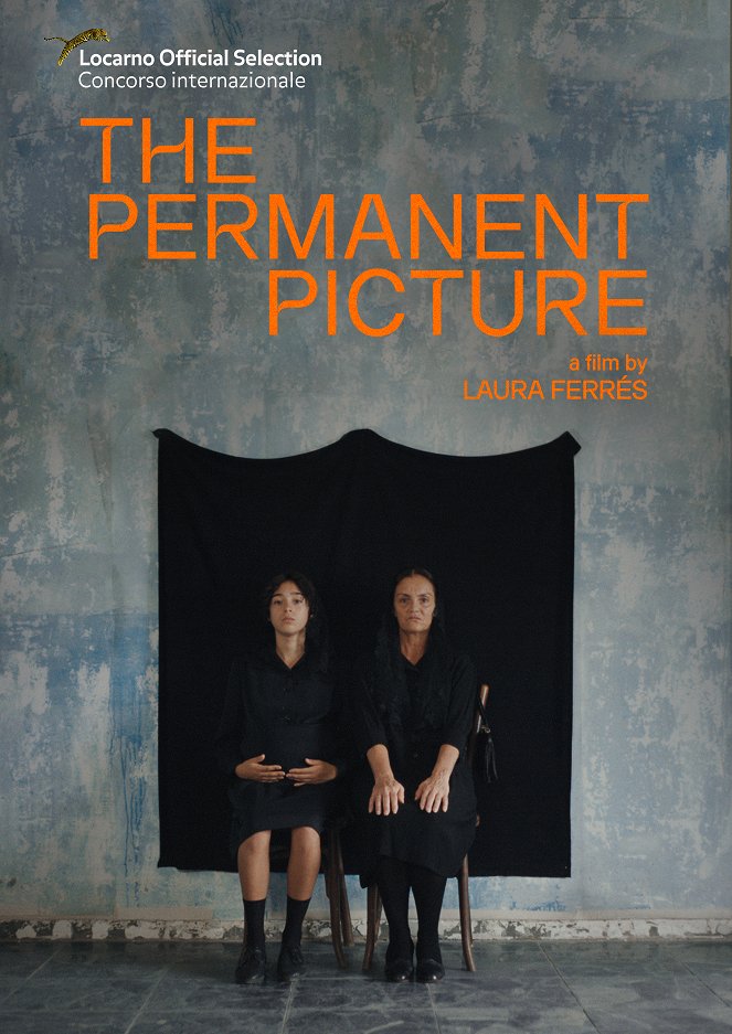 The Permanent Picture - Posters
