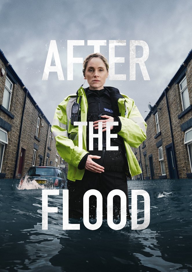 After the Flood - Posters