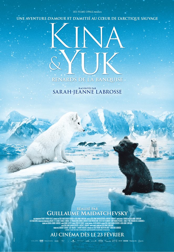 Kina & Yuk : Renards de la banquise - Plakaty