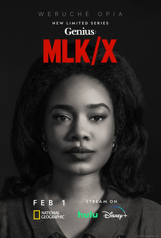 Genius - Genius - MLK/X - Posters