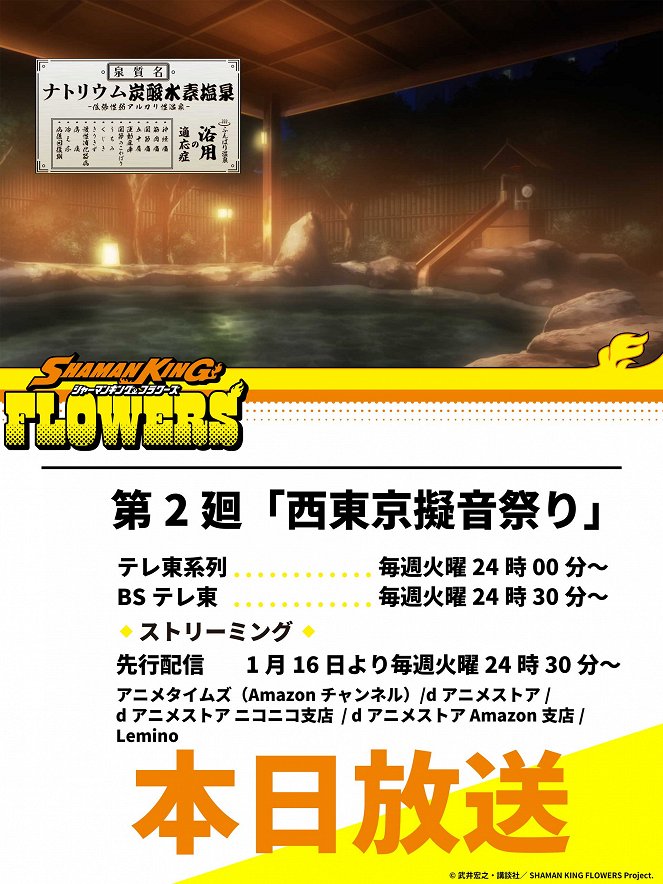 Shaman King: Flowers - Nishitokyo Gion Matsuri - Julisteet
