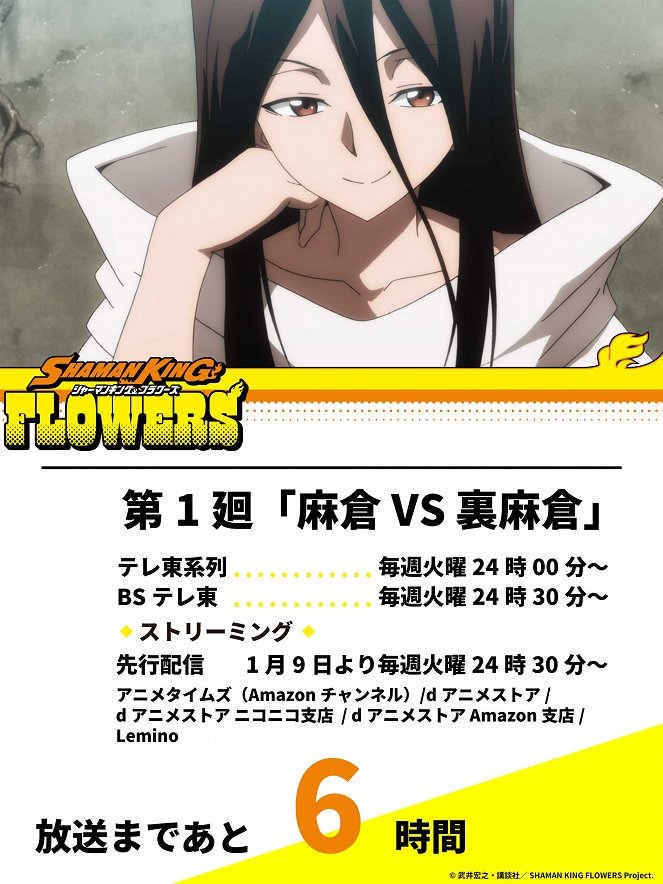 Shaman King: Flowers - Asakura contre l'autre Asakura - Affiches