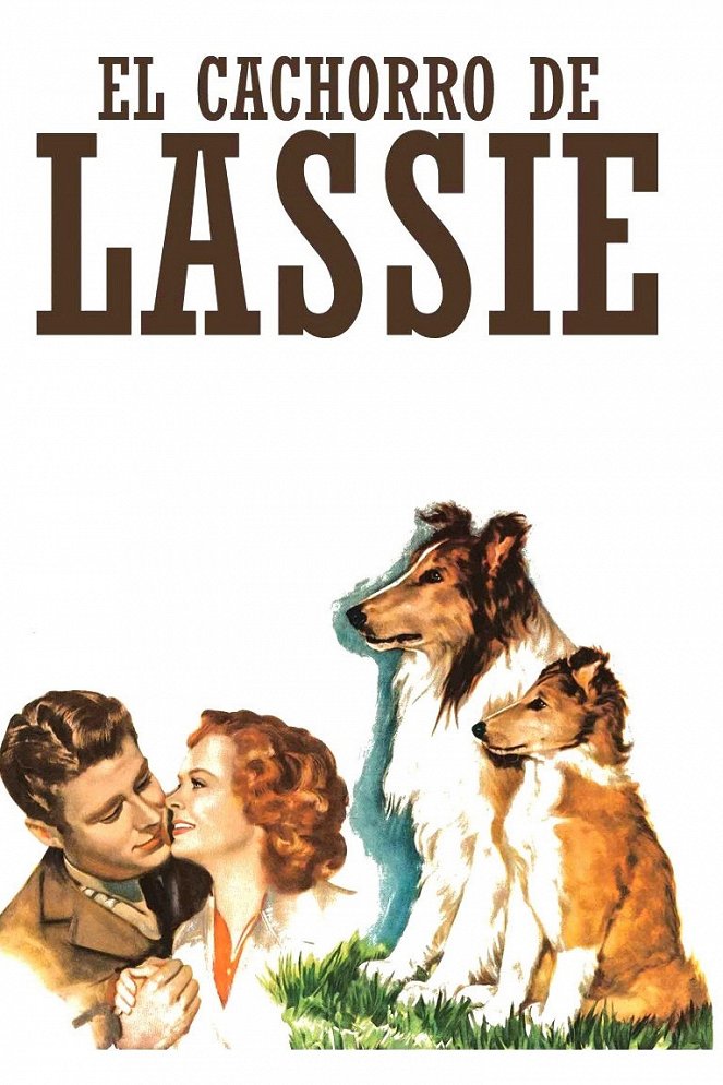 El cachorro de Lassie - Carteles