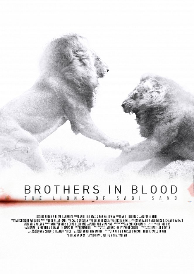 Brothers in Blood: Lions of Sabi Sand - Plakátok