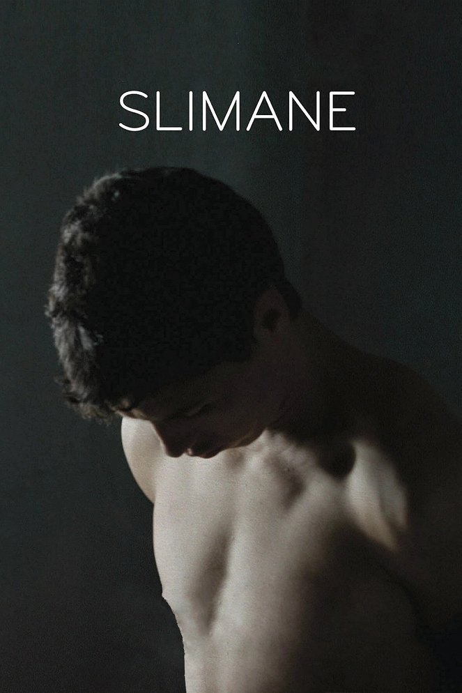 Slimane - Posters