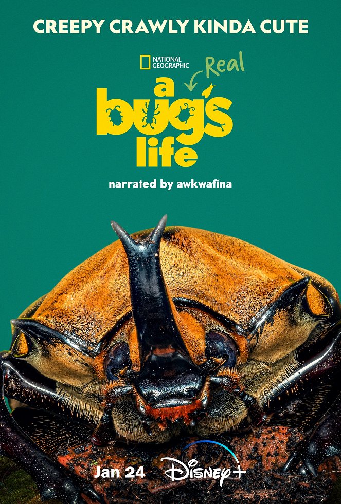 A Real Bug's Life - Season 1 - Cartazes