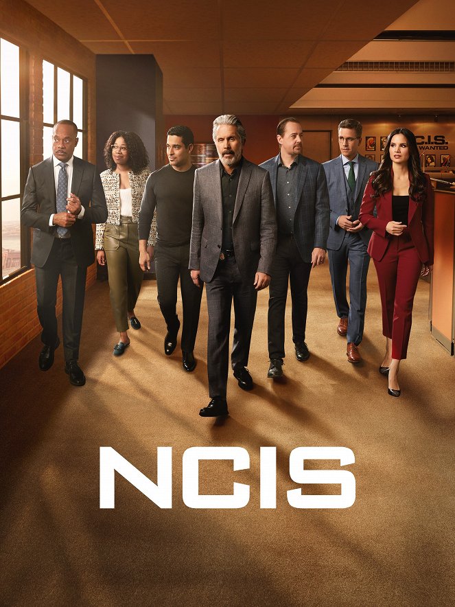 NCIS: Naval Criminal Investigative Service - Season 21 - Plakate