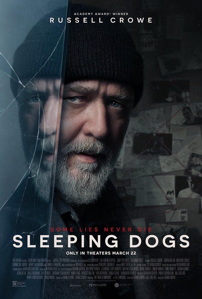 Sleeping Dogs - Plakate