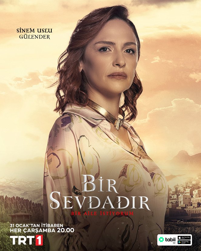 Bir Sevdadır - Affiches