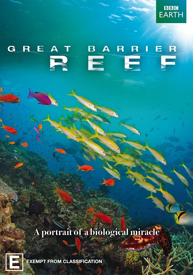 Great Barrier Reef - Posters