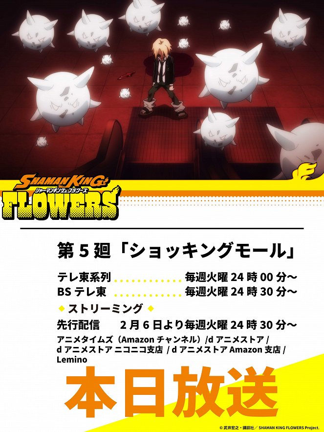 Shaman King: Flowers - Shaman King: Flowers - Shocking Mall - Posters