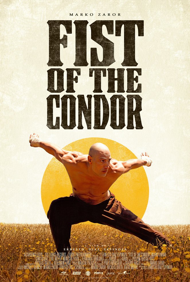 The Fist of the Condor - Posters