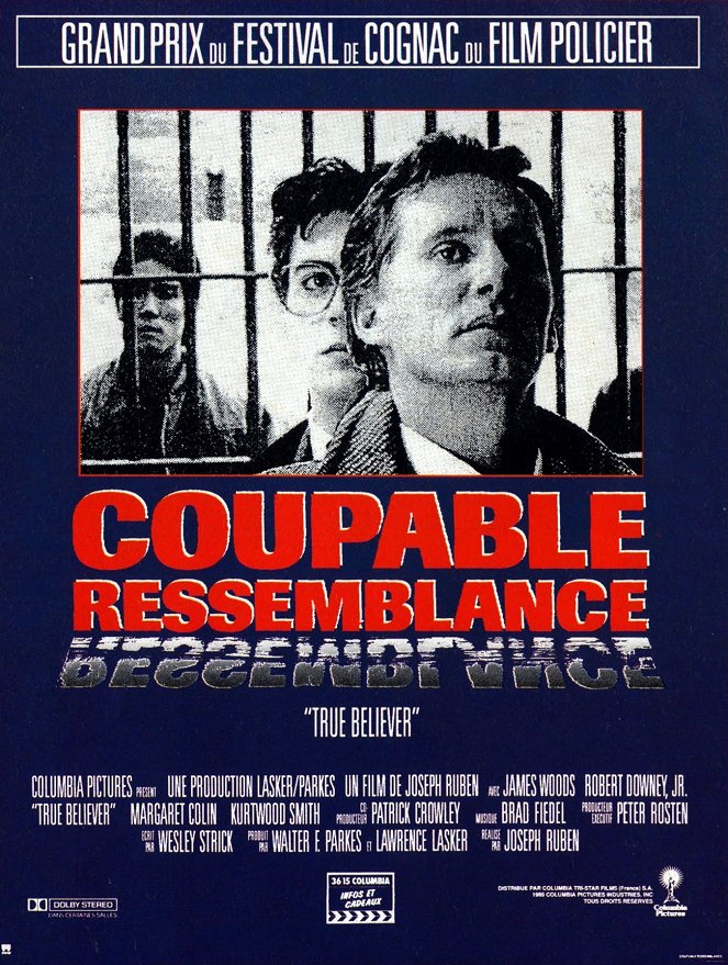 Coupable ressemblance - Affiches