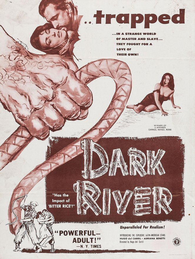 Dark River - Posters