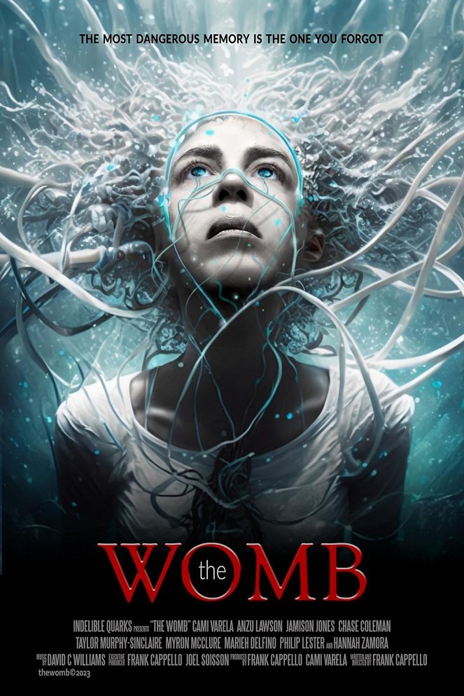 The Womb - Affiches
