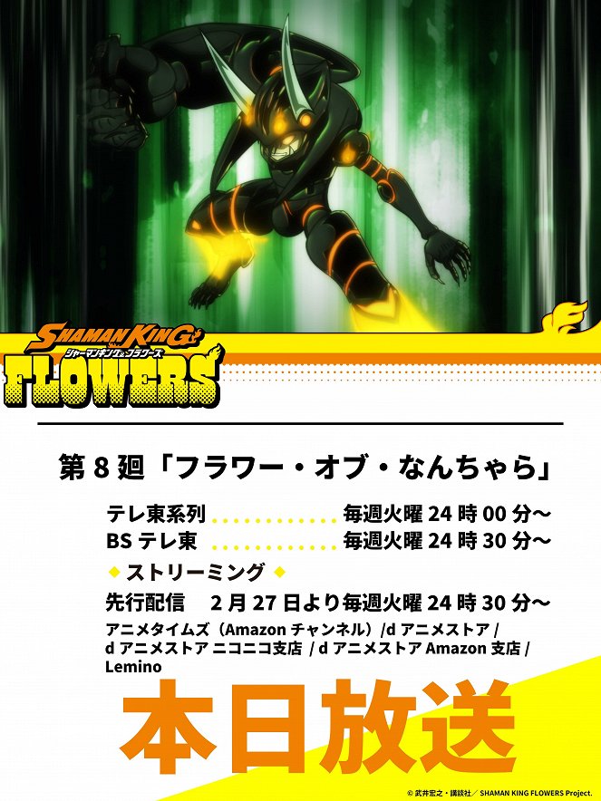 Shaman King: Flowers - Flower of Nanchara - Plagáty