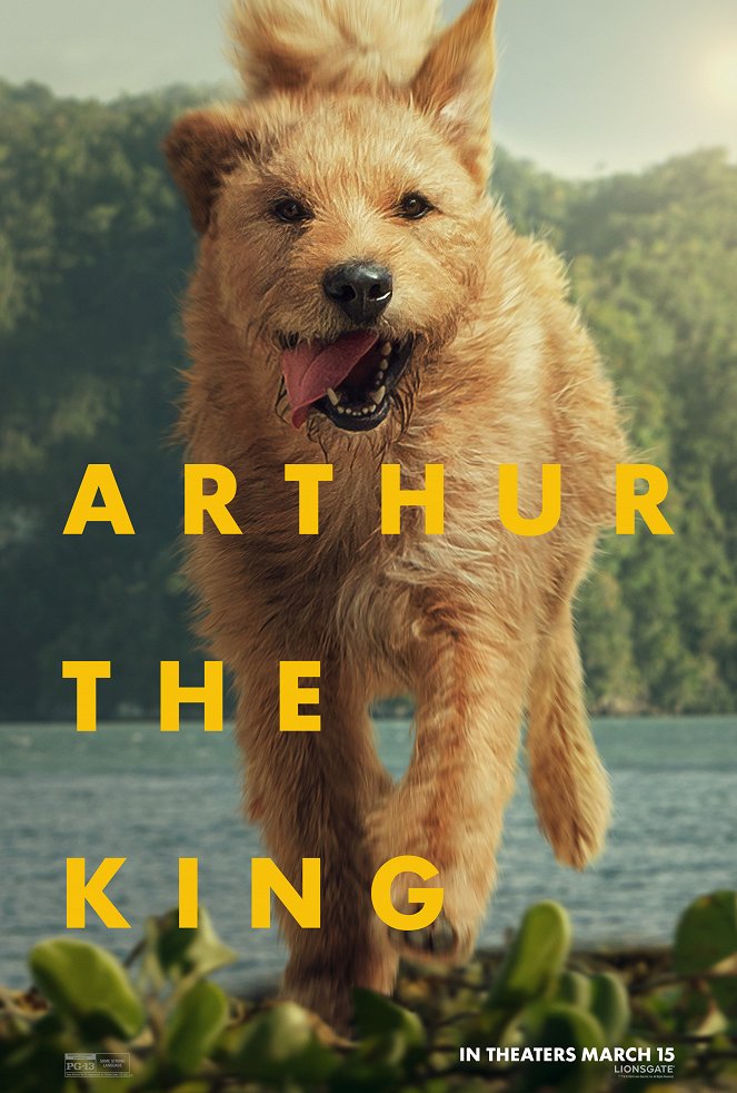 Arthur the King - Julisteet