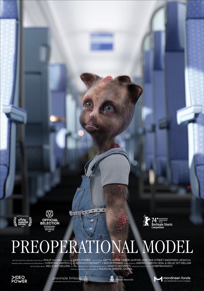 Preoperational Model - Plakate
