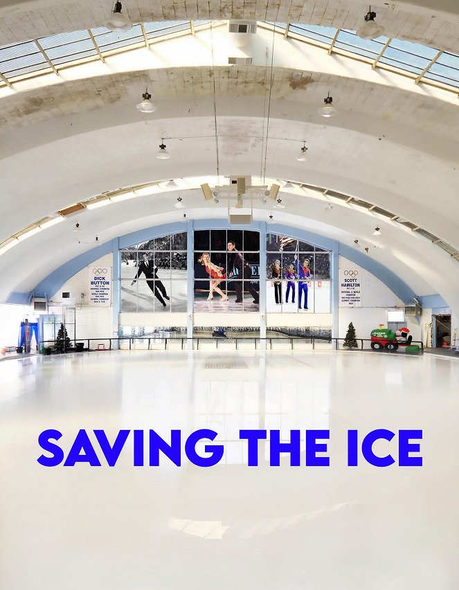 Saving the Ice - Affiches