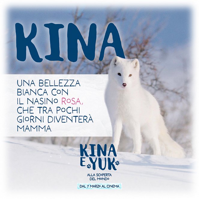 Kina & Yuk : Renards de la banquise - Cartazes