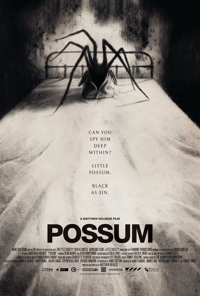 Possum - Posters