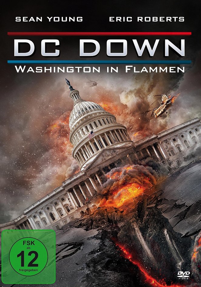 DC Down – Washington in Flammen - Plakate