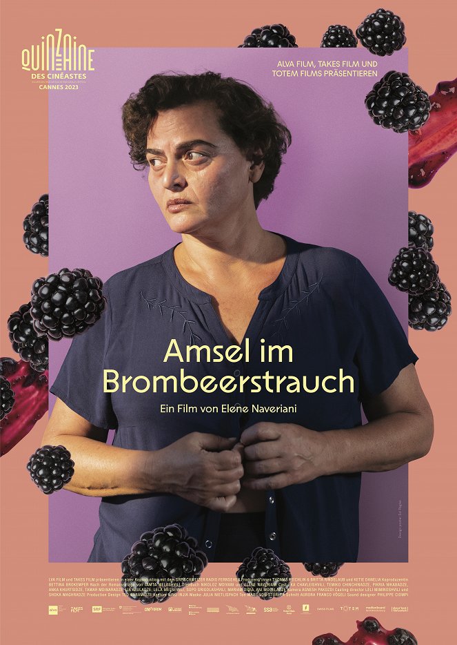 Amsel im Brombeerstrauch - Plakate