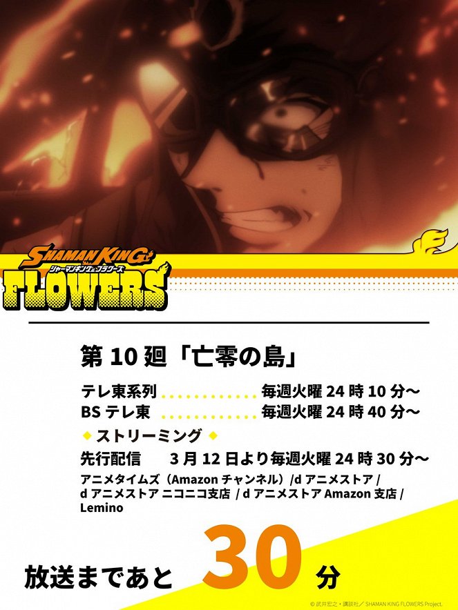Shaman King: Flowers - Bourei no Shima - Carteles