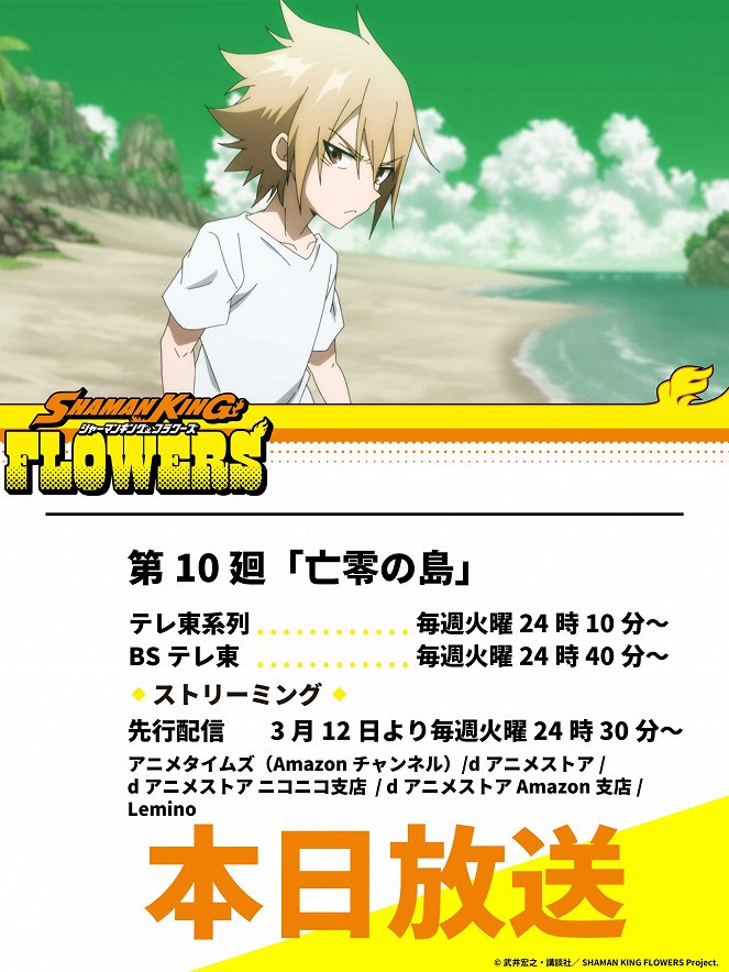 Shaman King: Flowers - Bourei no Shima - Posters