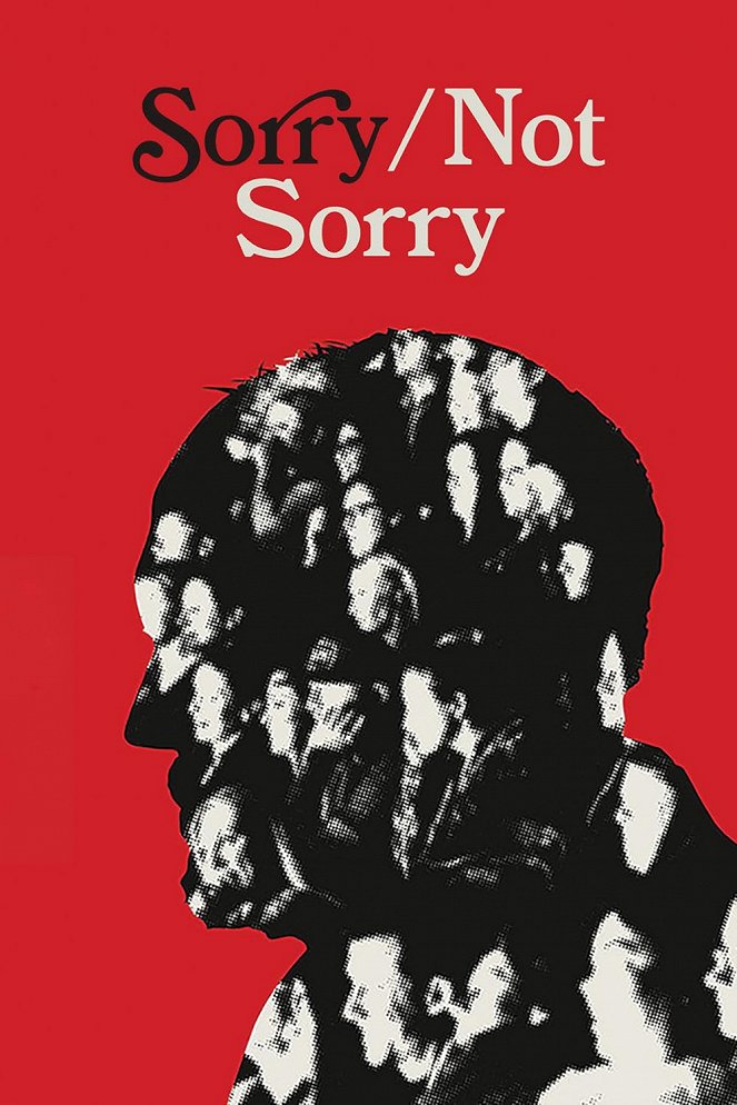 Sorry/Not Sorry - Affiches