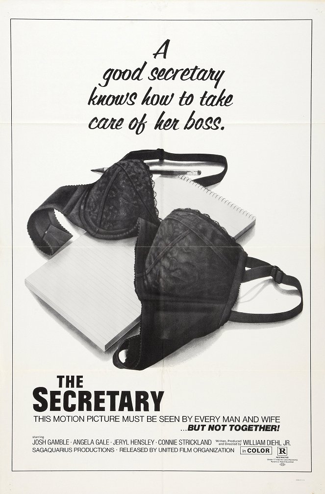 The Secretary - Carteles