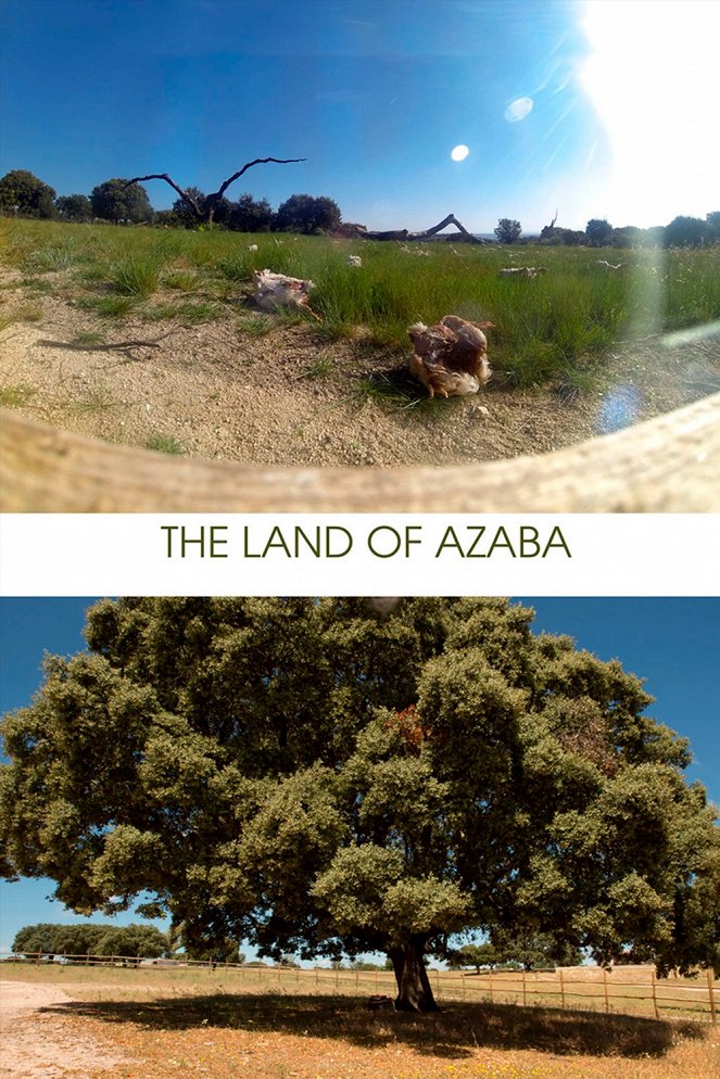 La tierra de Azaba - Carteles