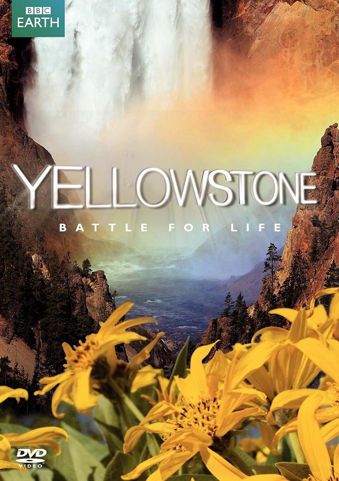 Yellowstone - Affiches