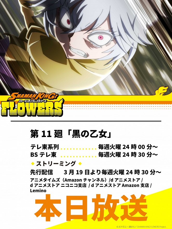 Shaman King: Flowers - Black Maiden - Posters