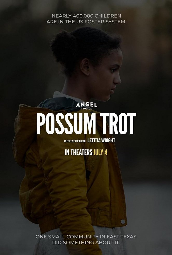 Possum Trot - Posters