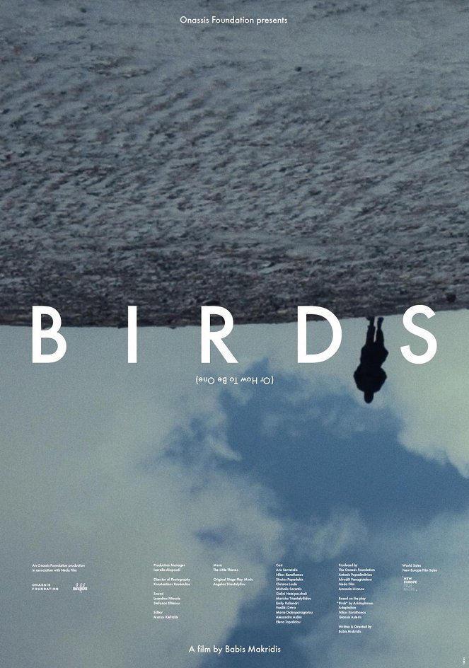 Birds (Or How to Be One) - Posters