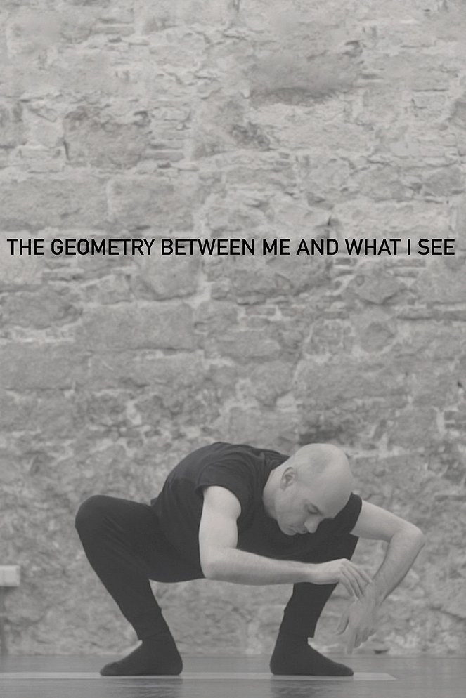 The Geometry Between Me and What I See - Plakáty