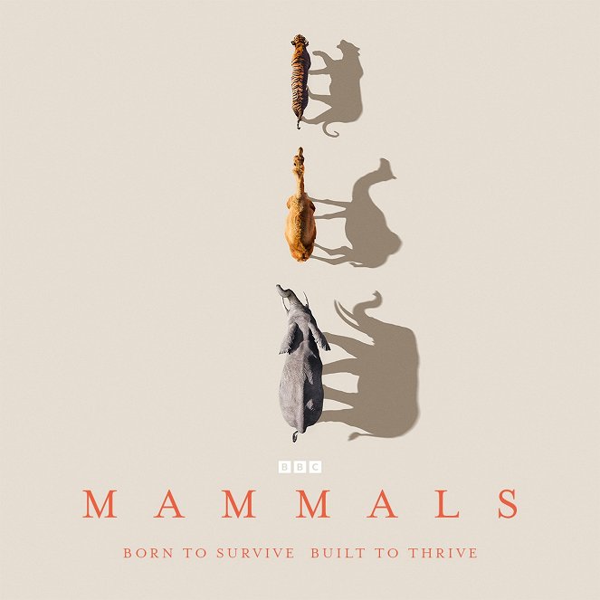 Mammals - Posters