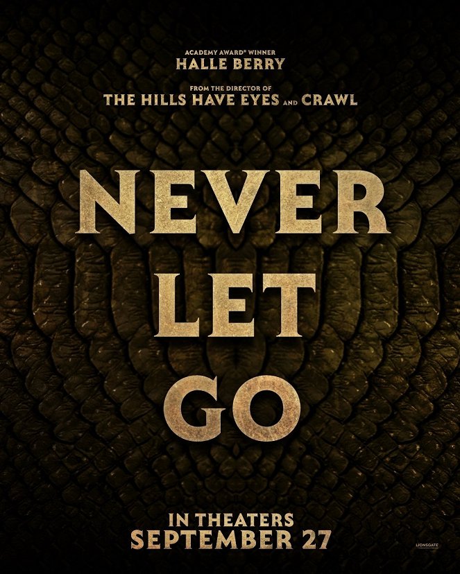 Never Let Go - Carteles