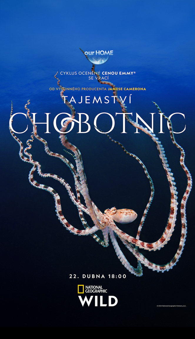 Tajemství chobotnic - Plakáty