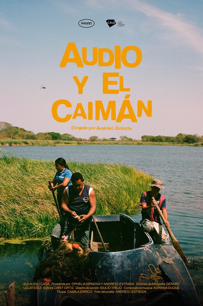 Audio y el caimán - Plakáty